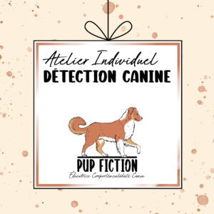 Atelier Individuel Détection Canine