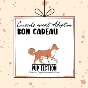 Conseils pré-adoption | Bon cadeau