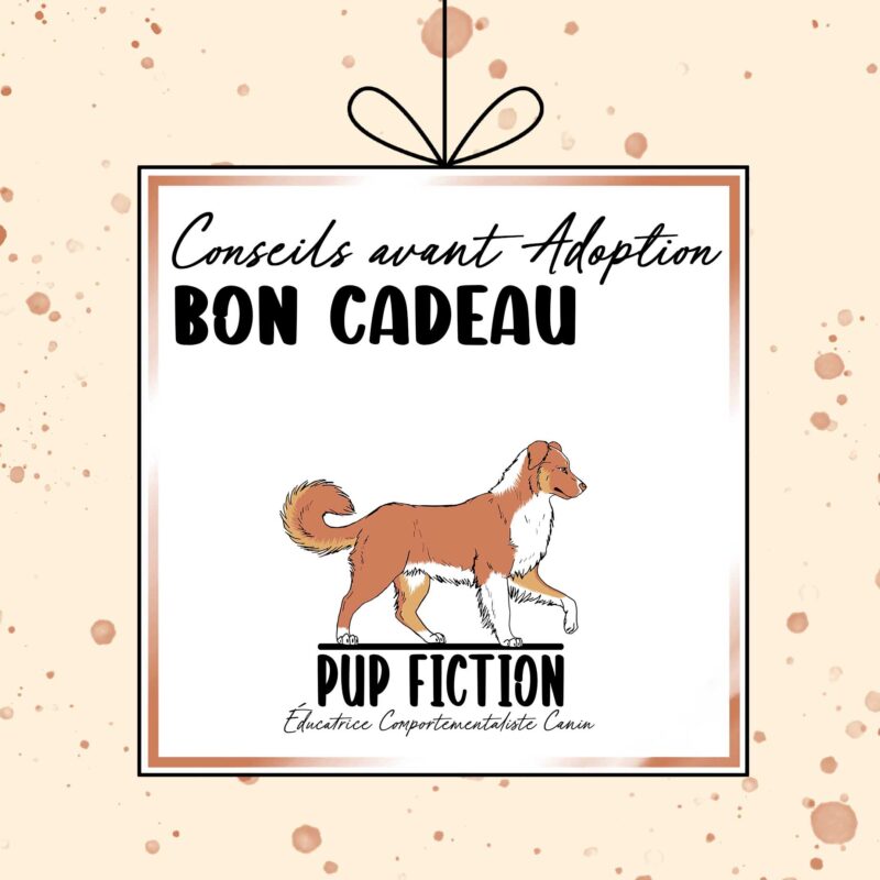 Conseils pré-adoption | Bon cadeau