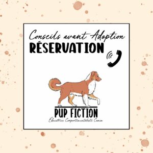 Conseils pré-adoption | Réservation